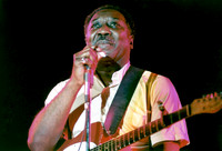 Muddy Waters