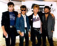 Stray Cats